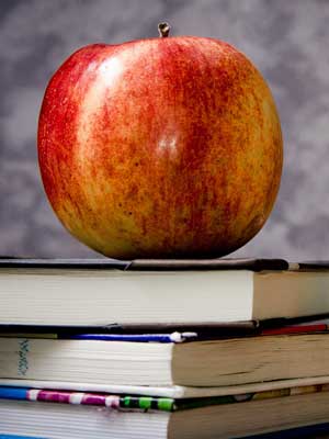 攻击网站在线工具